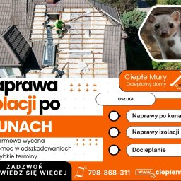 Naprawa izolacji dachu po kunach.
*Pomoc w odszkodowaniach
*Darmowa wycena