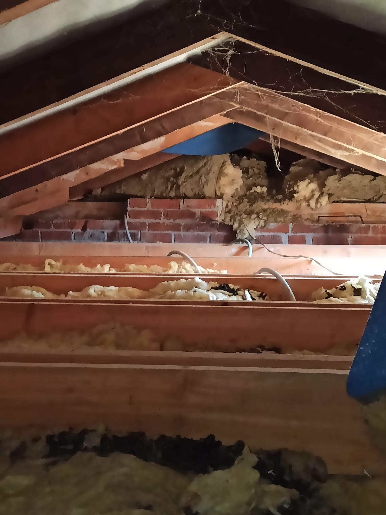 Poddasze z drewnianą konstrukcją i izolacją z wełny mineralnej, widoczne przewody elektryczne. Ujęcie z dołu, podkreślające strukturę dachu i materiały izolacyjne.