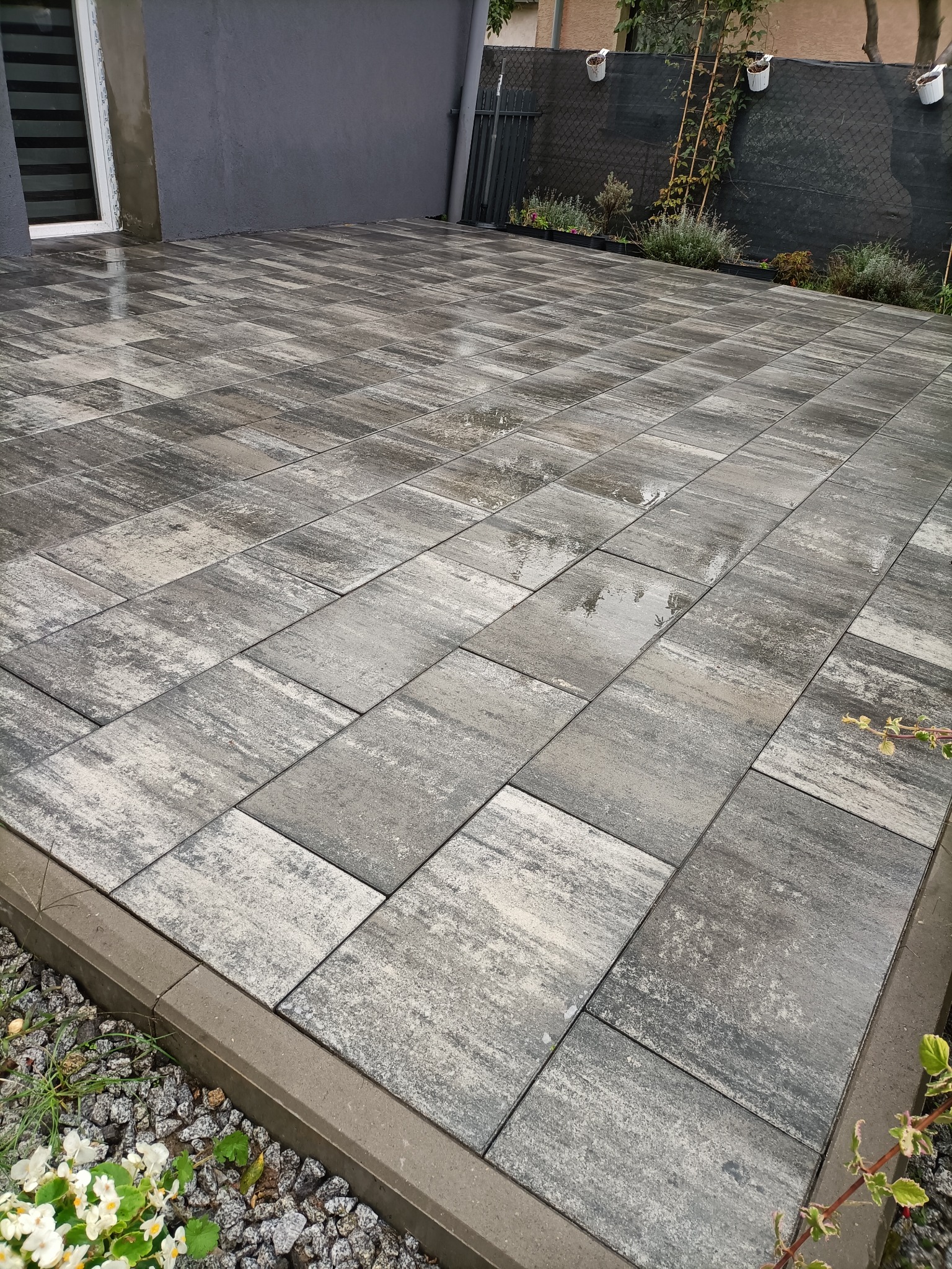 Ułożona, prostokątna kostka brukowa w odcieniach szarości, z widocznymi krawężnikami i roślinnością w tle. Lekko mokra nawierzchnia po deszczu, odbijająca światło.