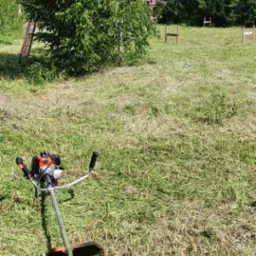 Spalinowa kosa na trawie po koszeniu. W tle drzewo i wieża szybu kopalni.