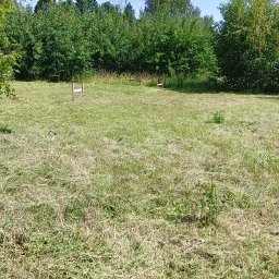 Koszenie trawy Orzesze 2