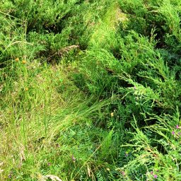 Krzysztof Łukaszek - Utrzymanie Ogrodów Orzesze