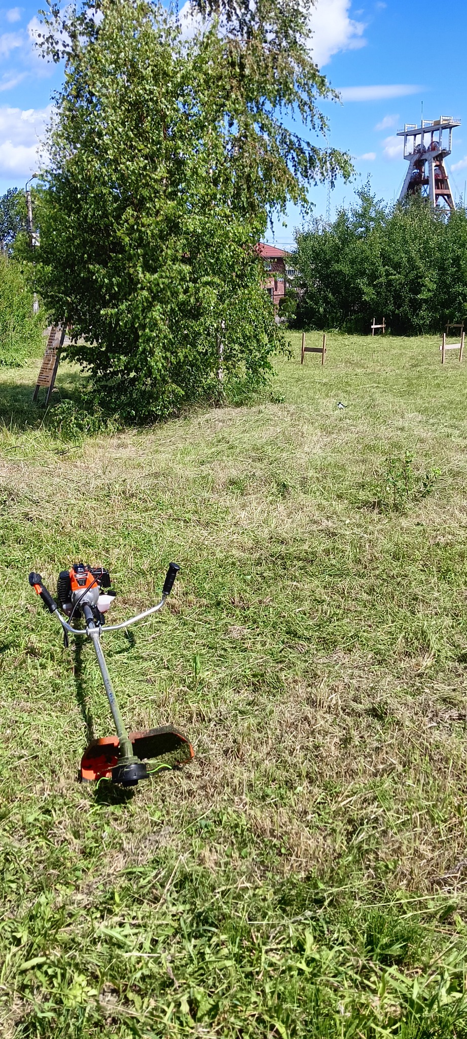 Spalinowa kosa na trawie po koszeniu. W tle drzewo i wieża szybu kopalni.