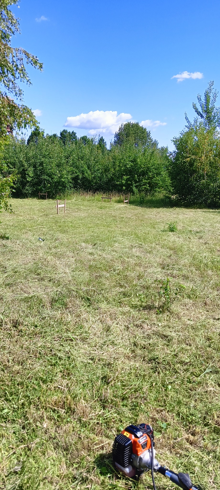 Trawa po koszeniu, widoczne ślady po kosiarce, na pierwszym planie fragment kosy spalinowej. W tle zieleń drzew i błękitne niebo.
