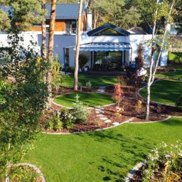 Ogrody D&T - Zadbany ogród z równo przystrzyżonym trawnikiem, ozdobnymi rabatami i ścieżką z kamieni prowadzącą przez korę. W tle nowoczesny dom z tarasem.