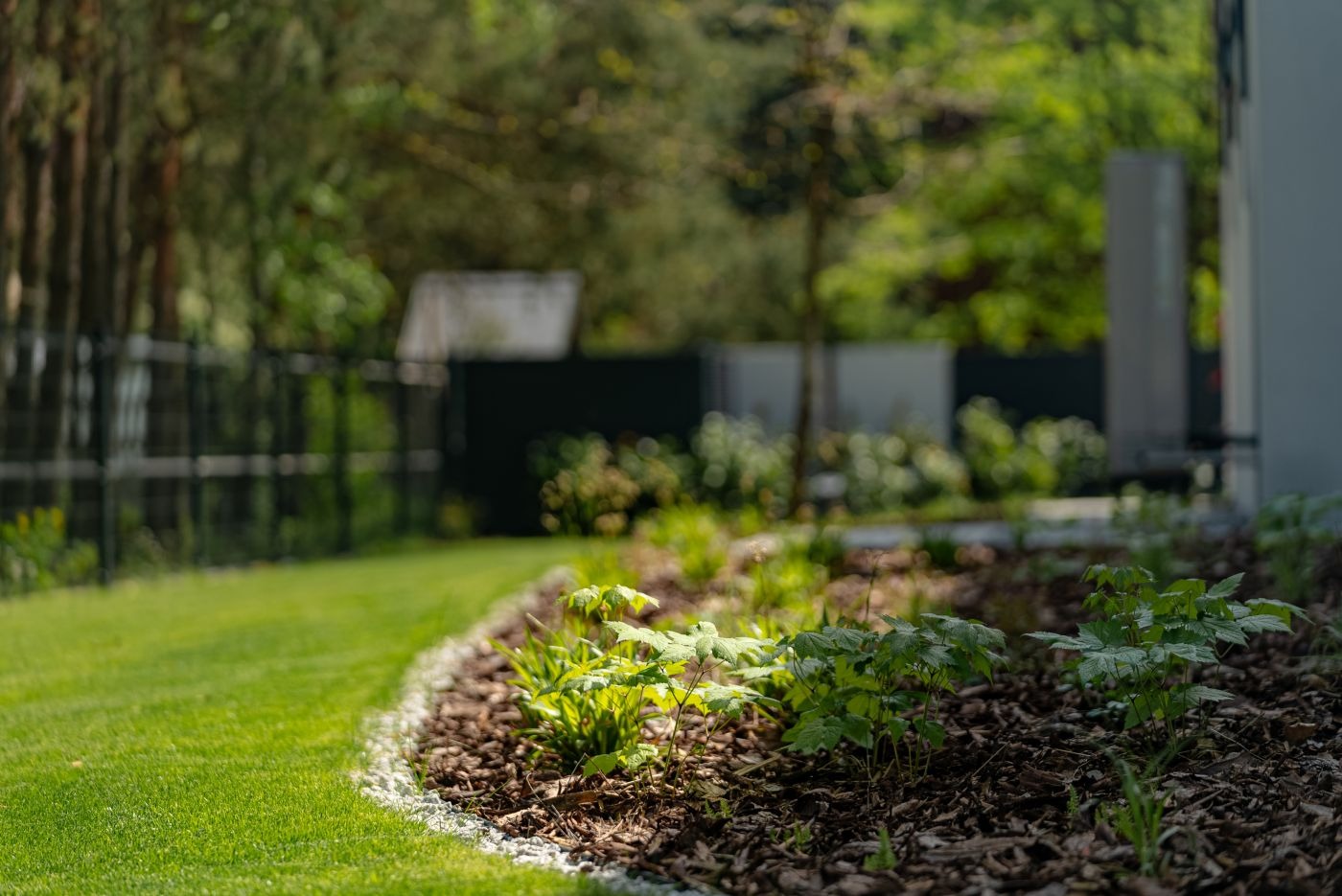 Kadr z ogrodu: świeża trawa graniczy z rabatą wysypaną korą, na której rosną młode rośliny. W tle drzewa i elementy architektury ogrodowej.