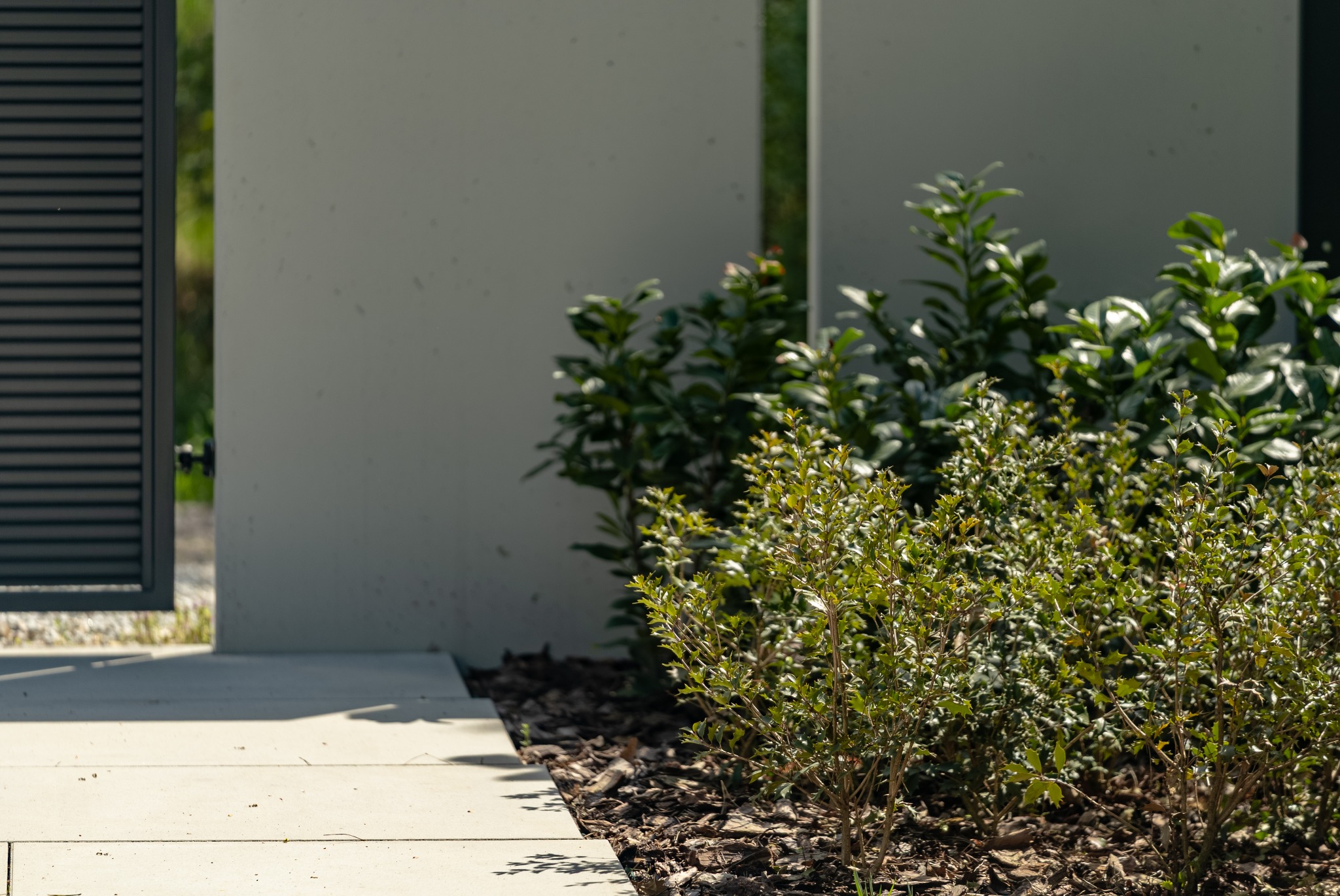 Nowoczesny ogród: świeżo posadzone krzewy na korze, jasna ścieżka z płyt i minimalistyczne ogrodzenie z bramą w tle, w słoneczny dzień.