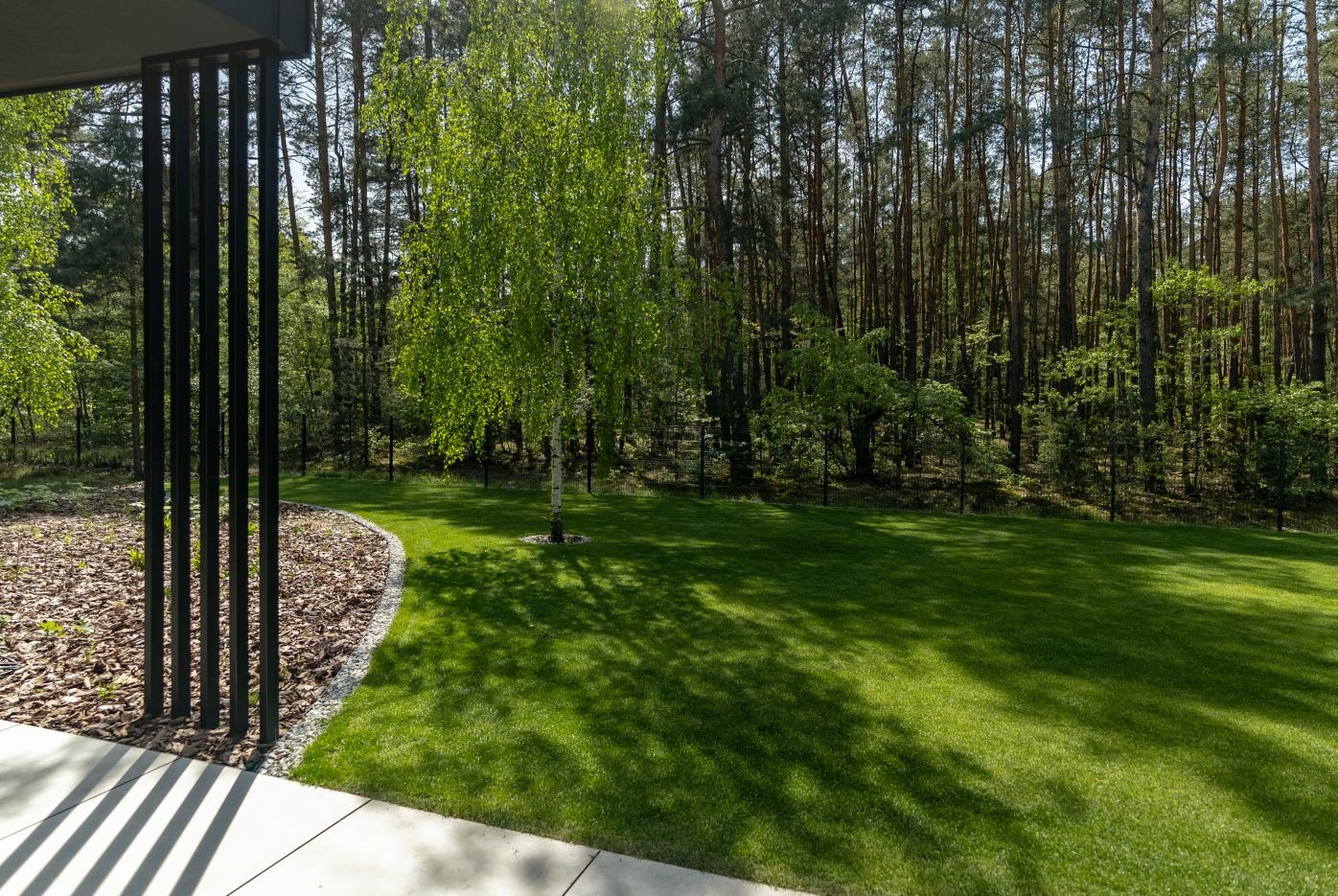 Zadbany trawnik z młodą brzozą na tle leśnego krajobrazu, widok z perspektywy tarasu z elementami architektury. Kora drzewna jako element dekoracyjny.