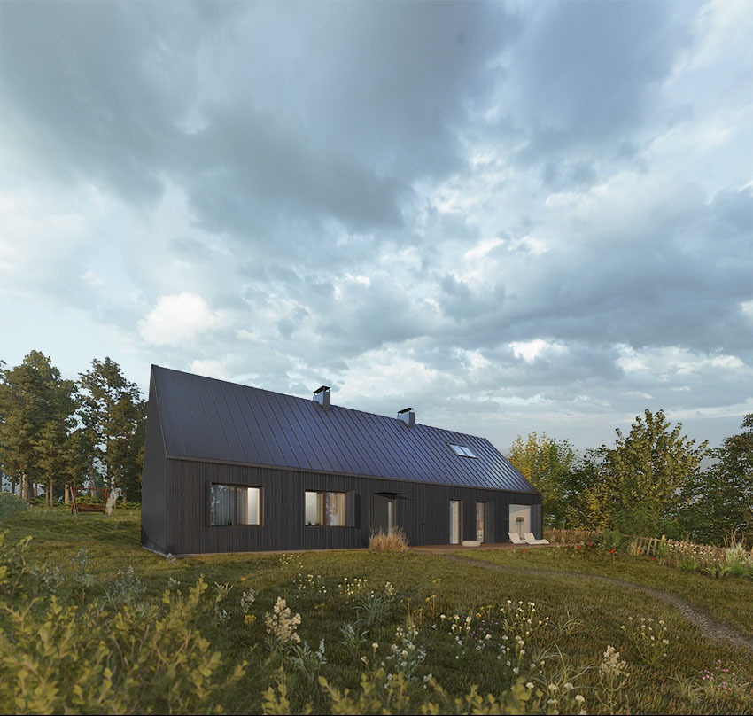 Wizualizacja domu jednorodzinnego z czarną, skośną dachówką, otoczonego zielenią i polnymi kwiatami. Uwagę zwraca minimalistyczna bryła budynku i naturalne otoczenie.
