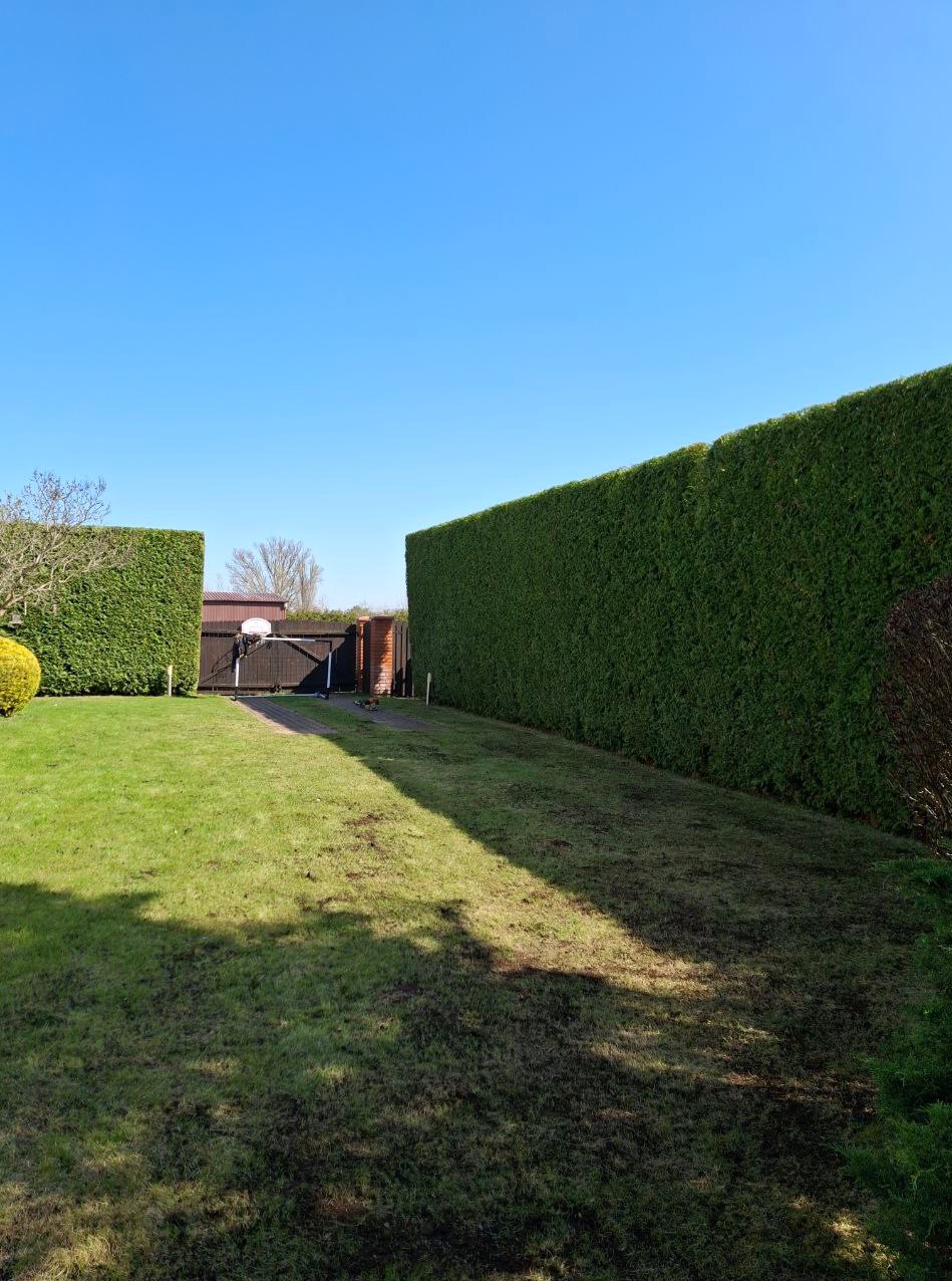 Zadbany ogród z równo przyciętym, wysokim żywopłotem i skoszoną trawą. W tle widoczna brama i fragment budynku. Słoneczny dzień, błękitne niebo.