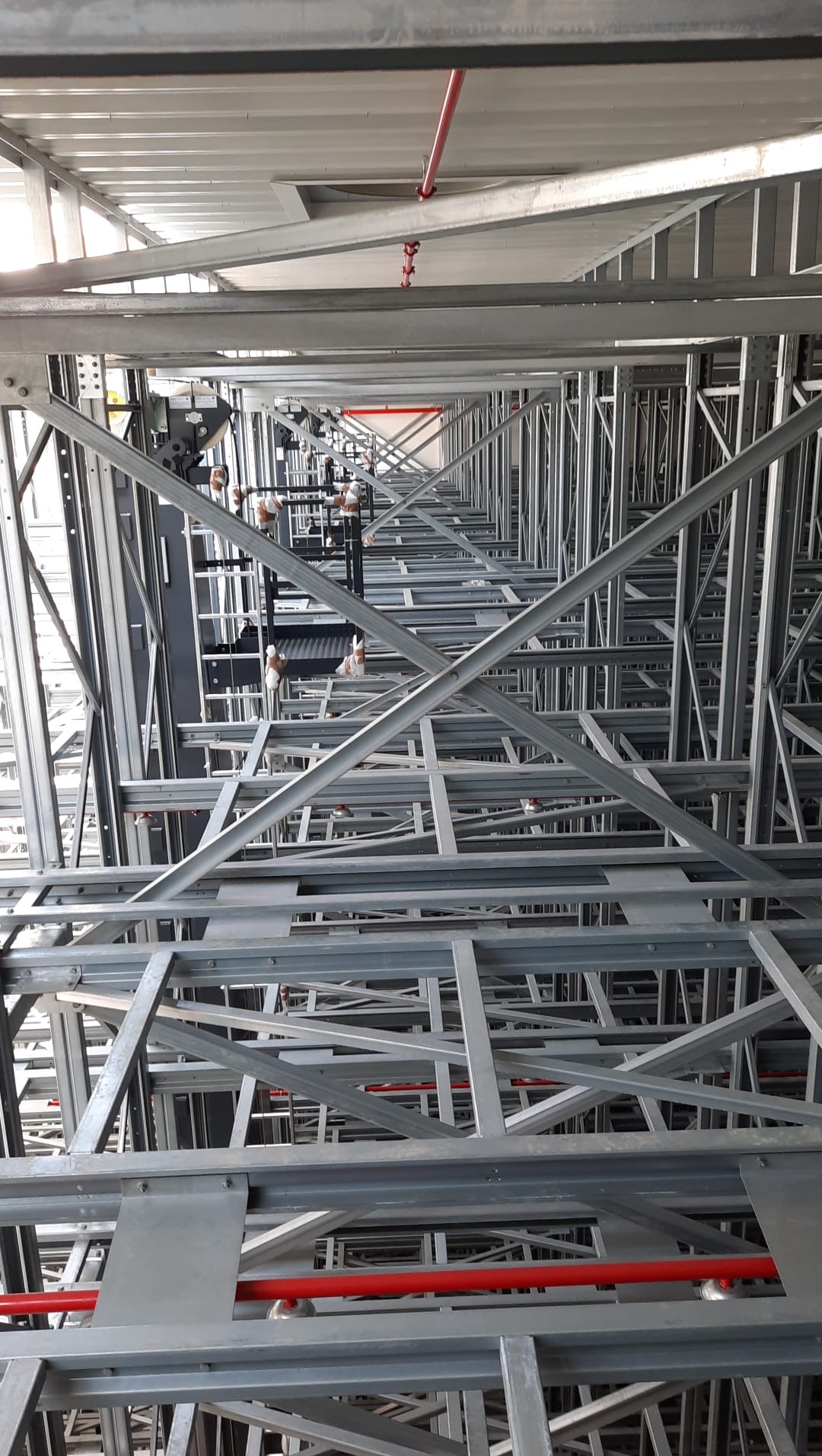 Wnętrze hali w trakcie budowy, widok w górę. Stalowa konstrukcja nośna z czerwonymi rurami instalacji przeciwpożarowej. Perspektywa z dołu podkreśla rozmach budowli.