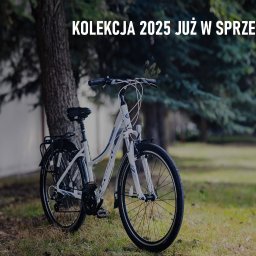 Serwis RTV Łódź 1