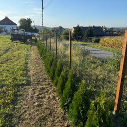 Pielęgnacja ogrodów Kraków 4