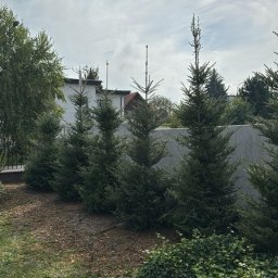 Pielęgnacja ogrodów Kraków 2