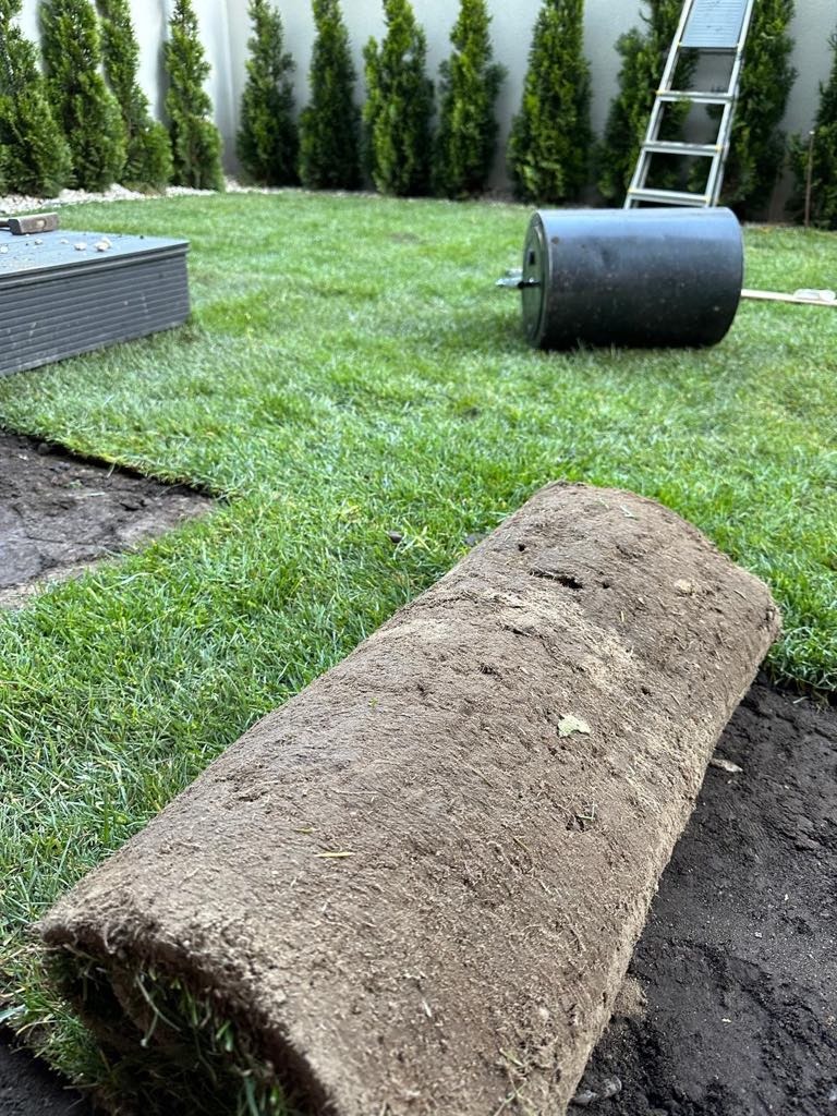 Rozwinięta rolka trawy na ziemi, w tle wał do trawy, paleta z trawą i tuje. Widok na ogród w trakcie zakładania trawnika z rolki.