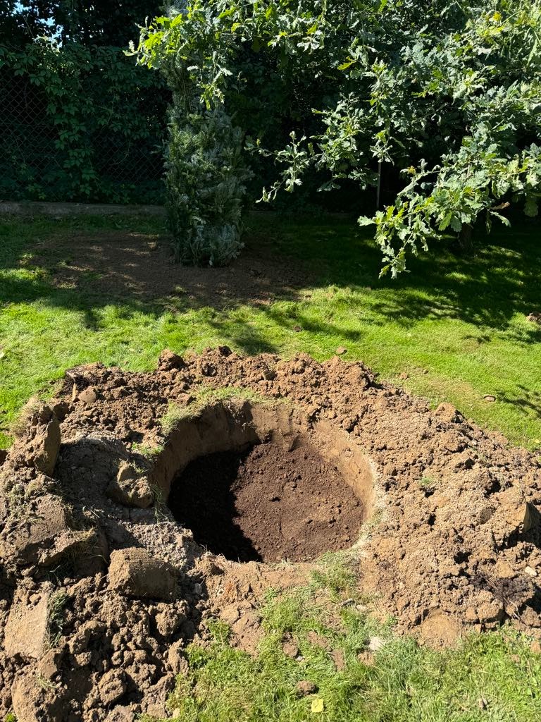 Wykopany dół pod sadzenie drzewa iglastego na trawniku, widoczne grudki ziemi. W tle żywopłot i drzewo liściaste w słoneczny dzień.