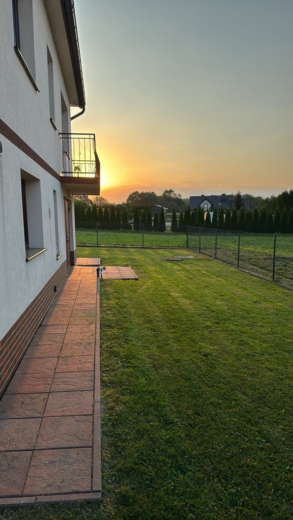 Zadbany trawnik z widokiem na zachodzące słońce, obok domu z wyłożonym chodnikiem i metalowym balkonem. W tle rząd iglaków i dom.