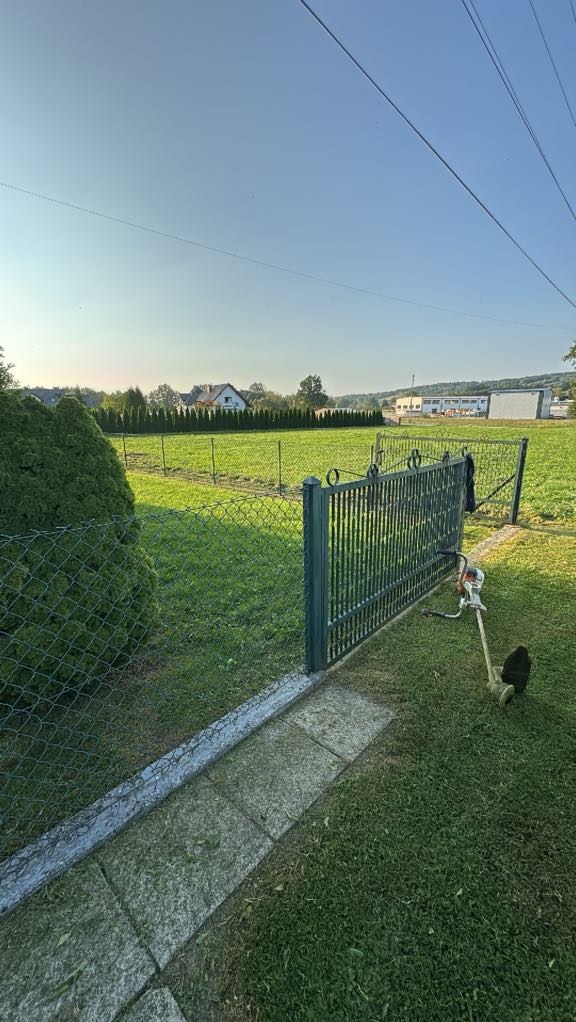 Zadbany trawnik z metalową bramką i żywopłotem w tle. Na pierwszym planie kosiarka spalinowa, obok ścieżka z kamiennych płyt. Słoneczny dzień.