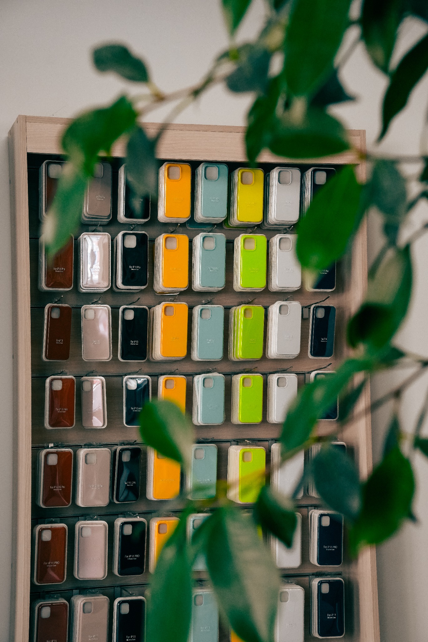 Ekspozycja etui na telefony iPhone różnych modeli i kolorów, umieszczonych na drewnianej półce, z zielonymi liśćmi w tle, sugerująca serwis Apple.