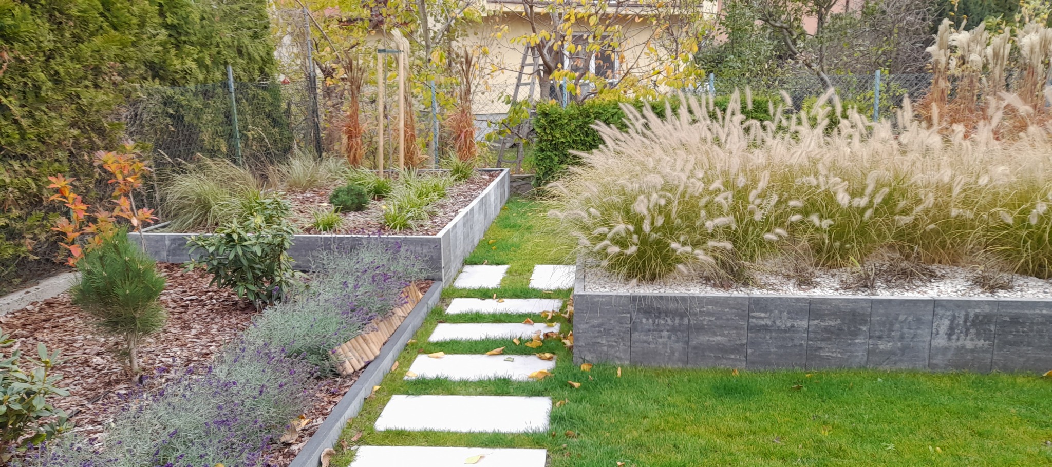 Ogród z podwyższonymi rabatami z kostki, ścieżką z płyt i ozdobnymi trawami. Rabaty wypełnione korą, żwirem i roślinami. Jesienne liście na trawniku.