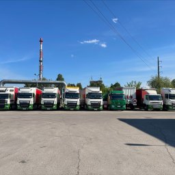 Krisspol-Transport - Transport Chłodniczy Toruń