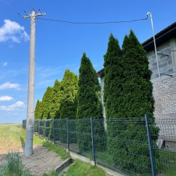 Usuwanie kolizji z siecią energetyczną