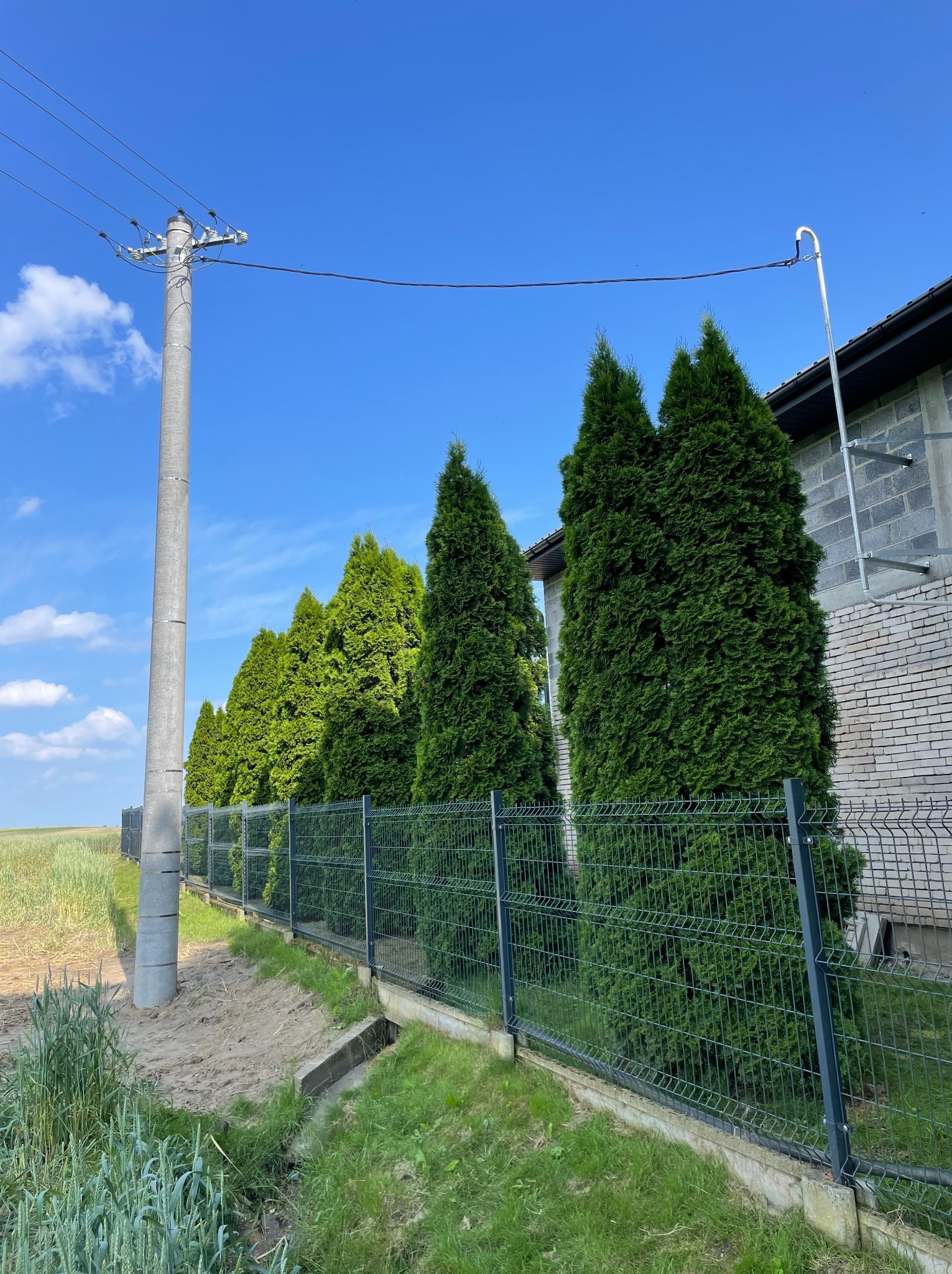Usuwanie kolizji z siecią energetyczną