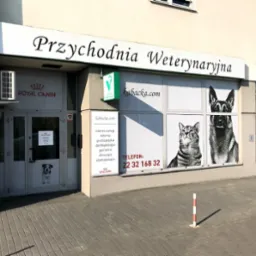 Fasada Przychodni Weterynaryjnej z logo Royal Canin, grafiką kota i psa na oknach oraz informacjami o zakresie usług i numerem telefonu.