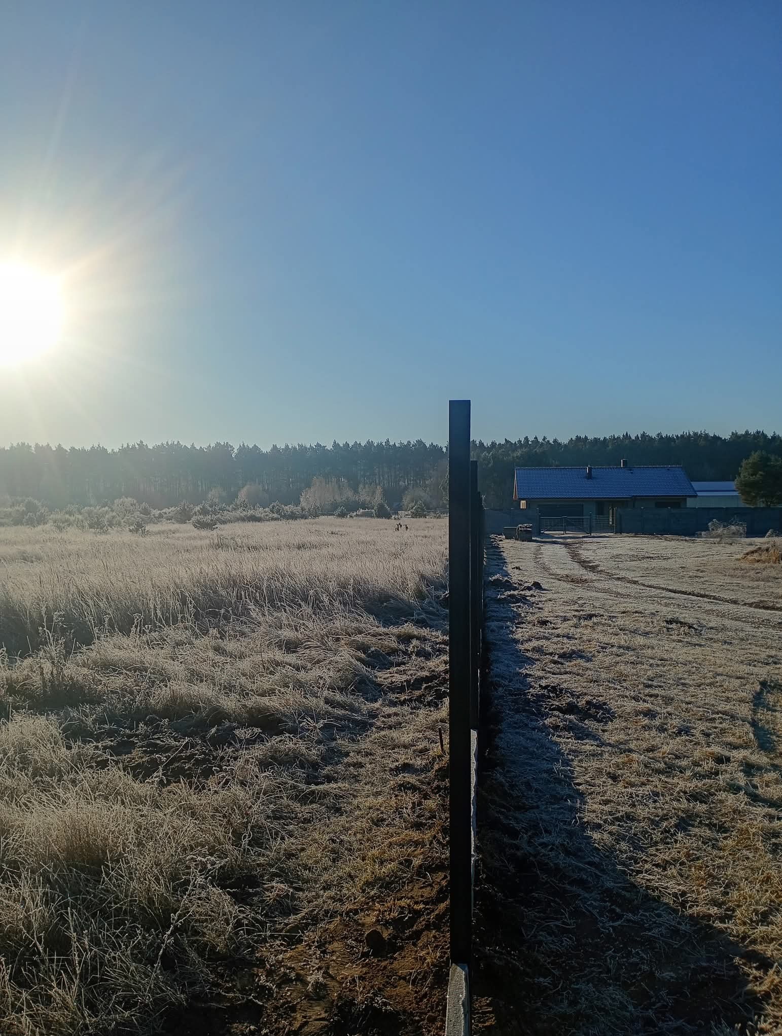 Zimowy krajobraz z nowym, czarnym ogrodzeniem panelowym wzdłuż zaśnieżonego pola. W tle dom i las w porannej mgle.