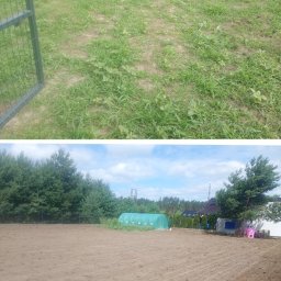 SzwagroGród - Zdjęcie 'przed i po' ukazujące teren przed i po przekopaniu glebogryzarką. Widoczna zielona trawa przed i świeżo przekopana ziemia po, z tunelem foliowym w tle.