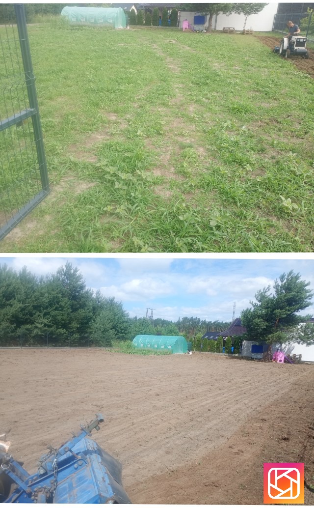 Zdjęcie 'przed i po' ukazujące teren przed i po przekopaniu glebogryzarką. Widoczna zielona trawa przed i świeżo przekopana ziemia po, z tunelem foliowym w tle.