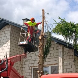 ARBOR ŁUKASZ LECH - Pracownik w podnośniku tnie świerk piłą spalinową na tle domu w Żarkach. Widoczne odcięte gałęzie i pień. Ubrany w odzież ochronną.