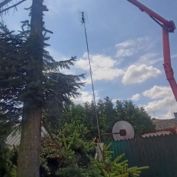 Prace działkowe Myszków