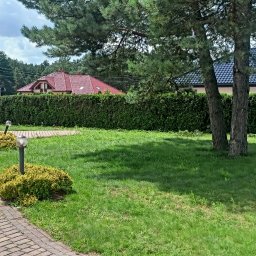 ARBOR Wycinka karczowanie - Świetne Malowanie Mieszkania Myszków