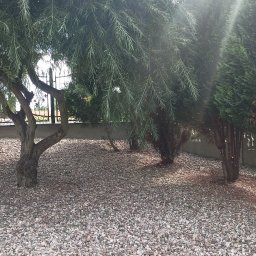 ARBOR Wycinka karczowanie - Przed domem Myszków