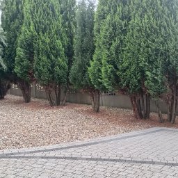 ARBOR Wycinka karczowanie - Solidne Remonty Mieszkań Myszków