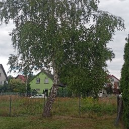 ARBOR ŁUKASZ LECH - Przed domem Myszków