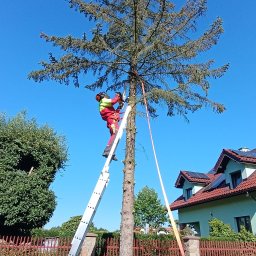 Prace działkowe Myszków