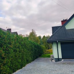 ARBOR ŁUKASZ LECH - Równy szpaler tuj formuje żywopłot wzdłuż brukowanej ścieżki, prowadzącej do domu z garażem. Tło stanowi zieleń drzew i pochmurne niebo.