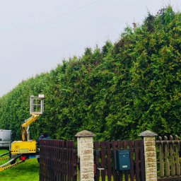 ARBOR ŁUKASZ LECH - Żółty podnośnik koszowy przy wysokim żywopłocie z tuj, widoczny fragment budynku i ogrodzenie. Prace ogrodnicze w toku.