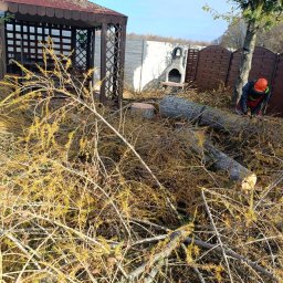 ARBOR ŁUKASZ LECH - Przed domem Myszków