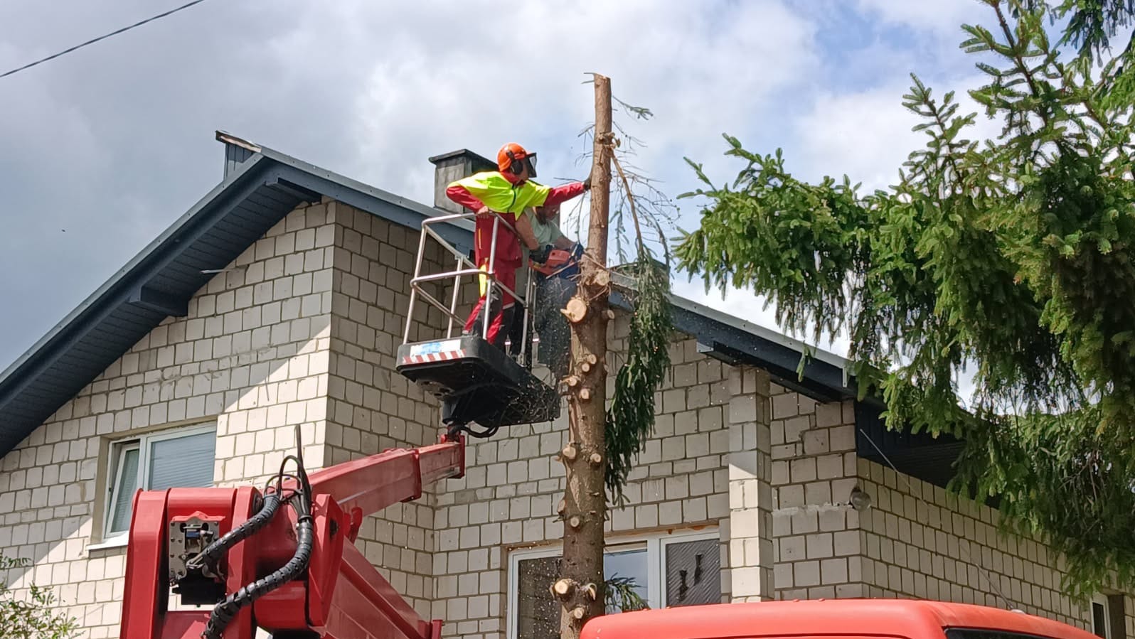 Pracownik w podnośniku tnie świerk piłą spalinową na tle domu w Żarkach. Widoczne odcięte gałęzie i pień. Ubrany w odzież ochronną.