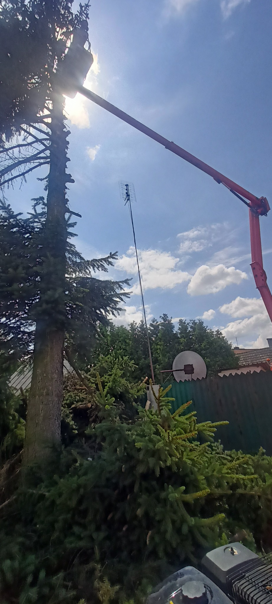 Wysoka sosna częściowo przycięta z podnośnika koszowego, z widocznym elementem sprzętu i anteną w tle, na tle błękitnego nieba z chmurami.