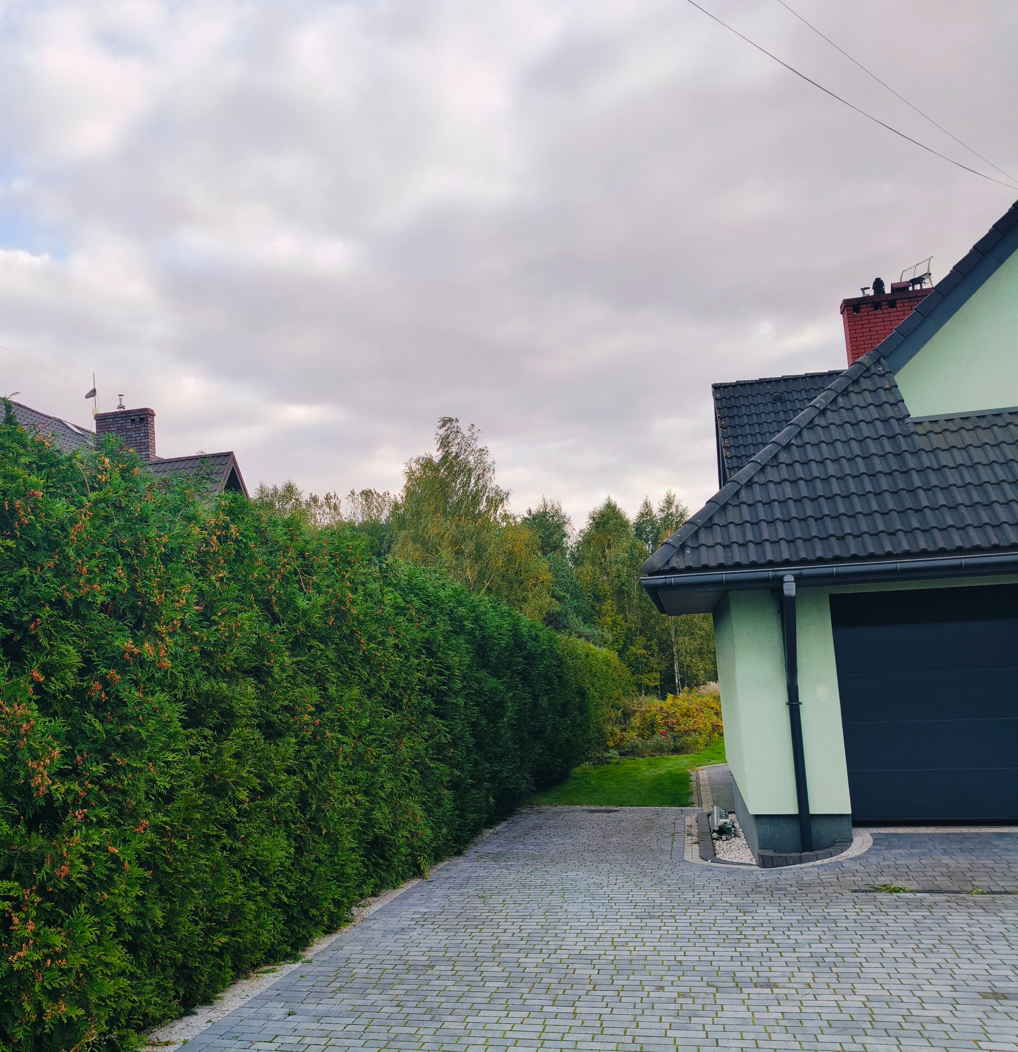 Równy szpaler tuj formuje żywopłot wzdłuż brukowanej ścieżki, prowadzącej do domu z garażem. Tło stanowi zieleń drzew i pochmurne niebo.