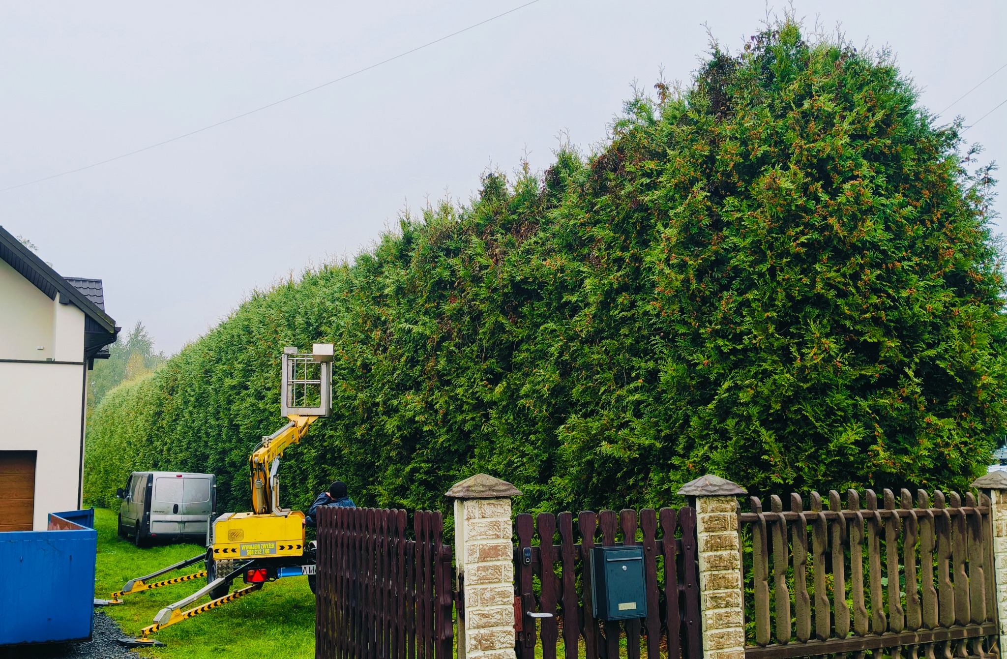 Żółty podnośnik koszowy przy wysokim żywopłocie z tuj, widoczny fragment budynku i ogrodzenie. Prace ogrodnicze w toku.