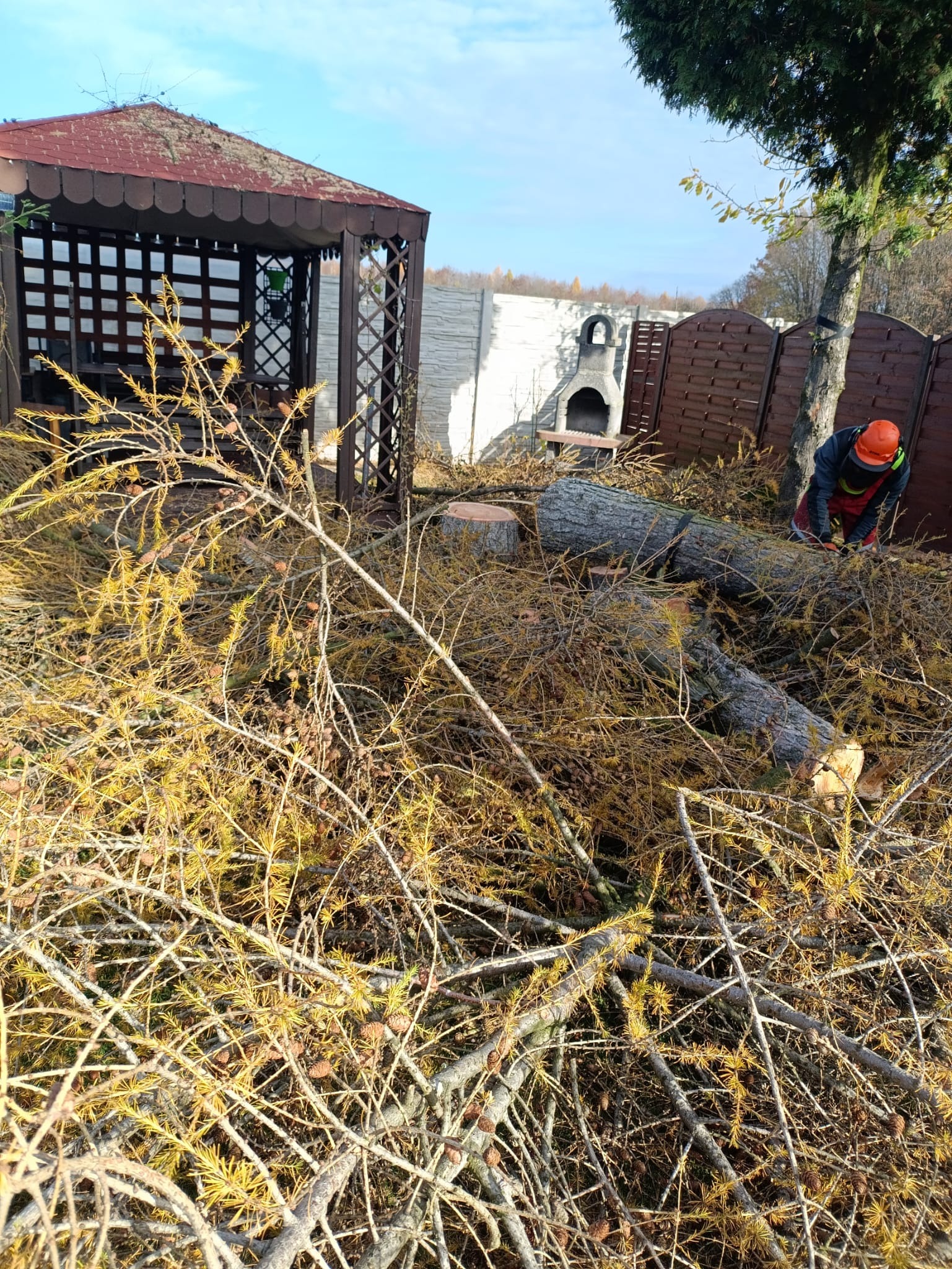 Ścięte gałęzie iglaste na tle altany i ogrodzenia. W tle pracownik w kasku tnie pień drzewa. Widoczny pień po ściętym drzewie.