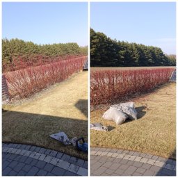 Przycinanie drzew Namysłów 1