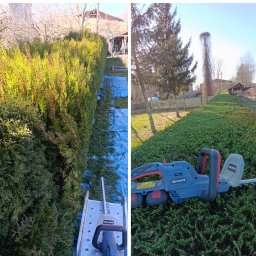 Przycinanie drzew Namysłów 2