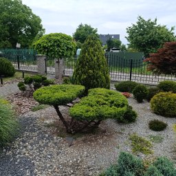PERFECT GARDEN USŁUGI OGRODNICZE KACPER BARAN - Perfekcyjne Sadzenie Roślin Namysłów