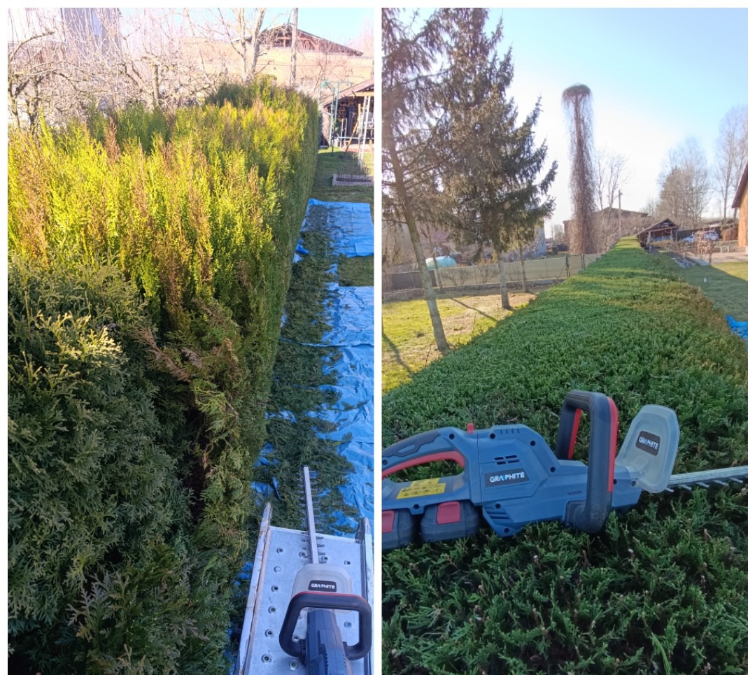Formowanie żywopłotu z użyciem elektrycznych nożyc Graphite. Część żywopłotu przycięta, rozłożona niebieska plandeka zbiera odpady. Widoczne narzędzie pracy.